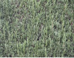 Photo of Mixed Nature Textures